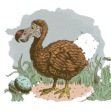 WWF / © iStockPhoto / iScream Creative