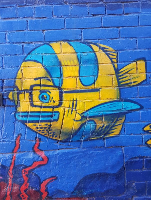 Fish! Or a submarine?