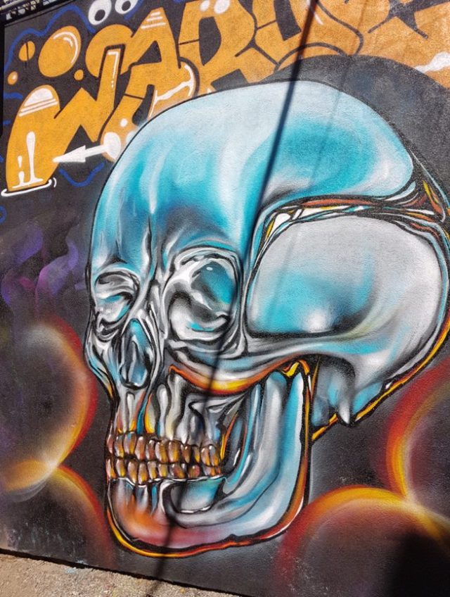 Creepy surreal skulls are my jam!